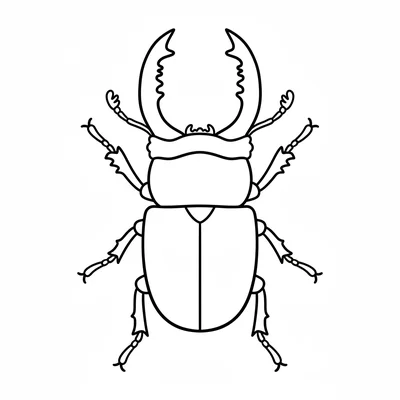 A big stag beetle facing the viewer from above, its oval shiny body, two coloring page
