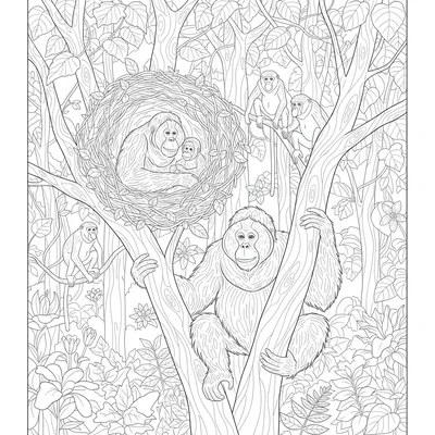 A Borneo rainforest orangutan family scene with a mother orangutan and baby coloring page