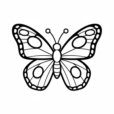 A large butterfly facing the viewer with its four wings fully spread open coloring page