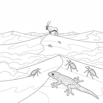 A Namibian desert scene with a web-footed gecko on a dune crest coloring page