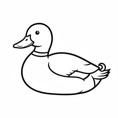 A plump duck facing the viewer from the side, its round green-headed mallard coloring page