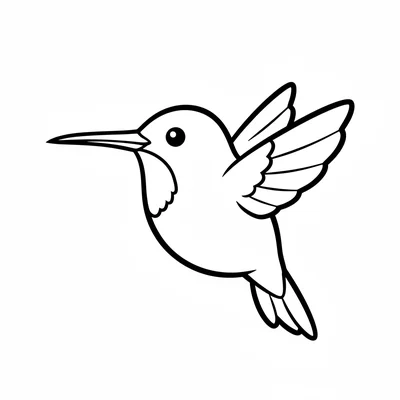 A tiny round hummingbird facing the viewer from the side, its extremely long coloring page