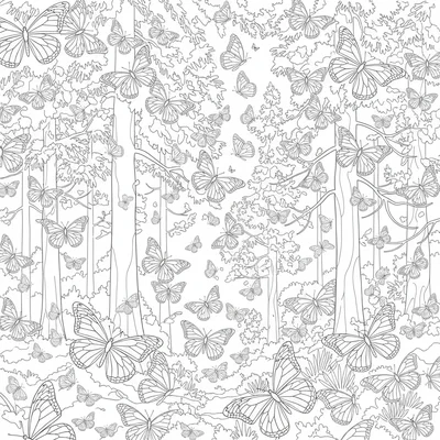 A butterfly migration rest stop in a forest of oyamel fir trees, every branch coloring page