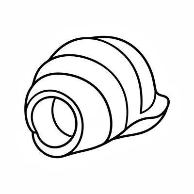 A large simple seashell facing the viewer, its spiral conch shape with a wide coloring page