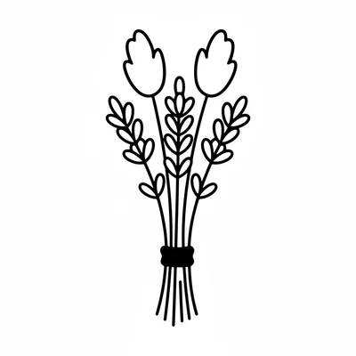 A single bunch of dried lavender with a rubber band at the stem base and two coloring page