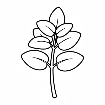 A single bunch of mint with round oval leaves on an upright stem, viewed coloring page