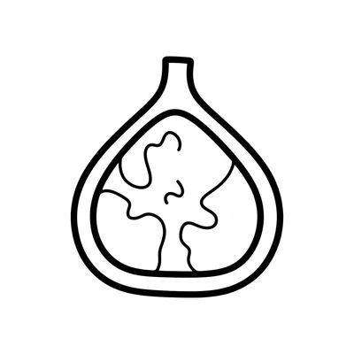 A single round fig fruit with a short stub stem and a simple teardrop body coloring page
