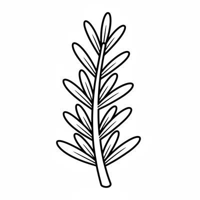 A single sprig of rosemary, the stem upright with pairs of short needle-like coloring page