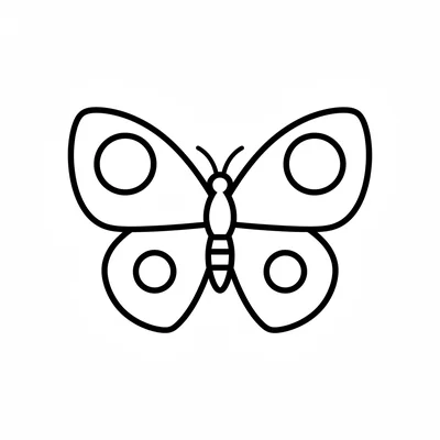 A large round butterfly with four broad rounded wings, two large symmetrical coloring page