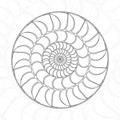 An ammonite mandala with the cross-section of an ammonite fossil, a tight coloring page