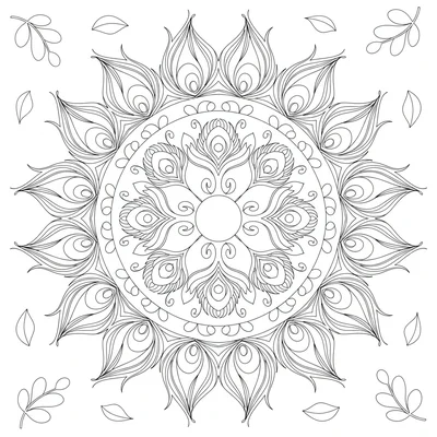 A peacock feather mandala with 8 stylized peacock eye-feathers radiating coloring page
