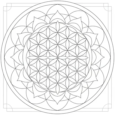 A sacred geometry mandala based on the Flower of Life pattern, with overlapping coloring page
