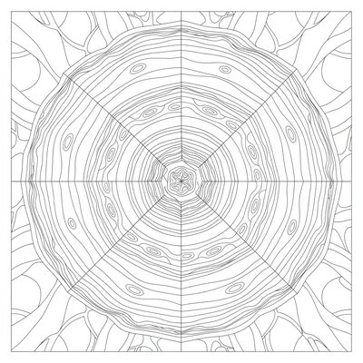 A tree ring mandala based on the cross-section of an ancient tree coloring page
