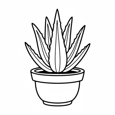 A simple aloe vera plant in a pot, 6 thick pointed succulent leaves growing coloring page