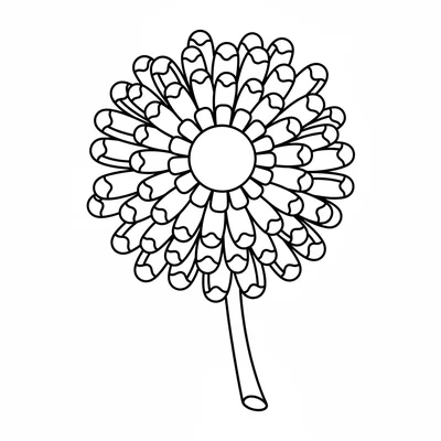 A simple chrysanthemum with many narrow petals in 3 rings, outermost longest coloring page