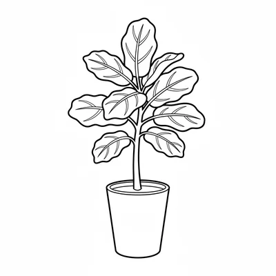 A simple fiddle-leaf fig in a tall pot, 5 large rounded-base oval leaves coloring page