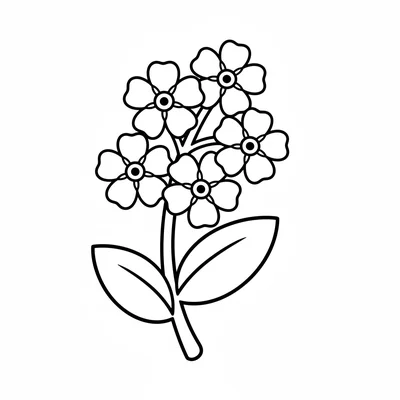 A simple forget-me-not cluster, 5 tiny 5-petaled flowers grouped at the top coloring page