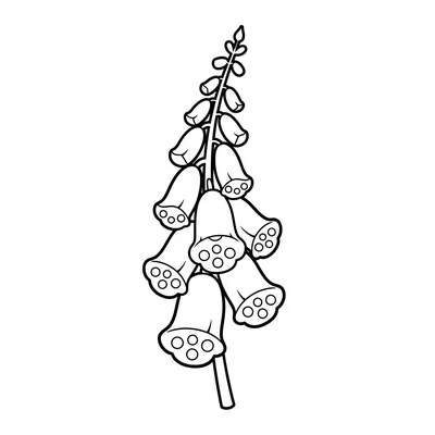 A simple foxglove stem with a row of 6 large tubular bell-shaped flowers coloring page