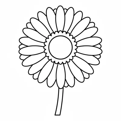 A simple gerbera daisy with 24 narrow petals around a large flat center, viewed coloring page