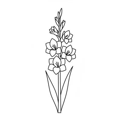 A simple gladiolus spike with 5 open trumpet flowers stacked alternating along coloring page