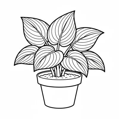 A simple hosta plant in a round pot, 5 large heart-shaped leaves with clearly coloring page