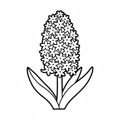 A simple hyacinth with a thick central spike densely covered in small coloring page