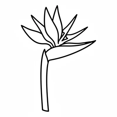 A large bird of paradise flower with its distinctive upright orange and blue coloring page