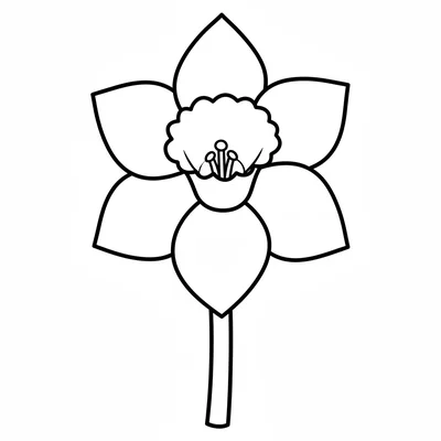 A large daffodil with 6 wide petals around a trumpet-shaped center cup, a thick coloring page