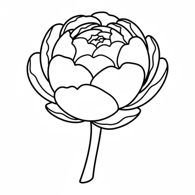A large open peony bud, more open than a bud, not yet fully open, with many coloring page