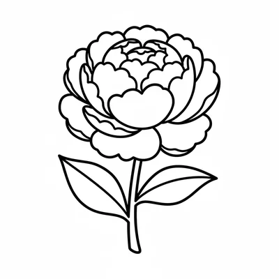 A large peony with many loose overlapping round petals creating a full round coloring page