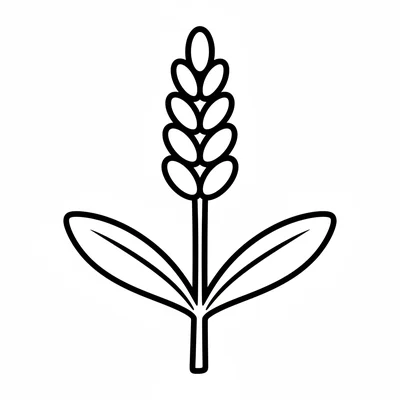 A simple lavender sprig with a thick stem, 2 long narrow leaves, and a tall coloring page