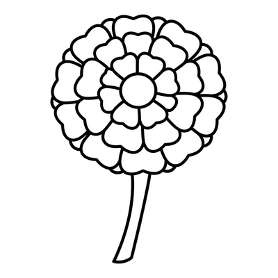 A simple marigold with many rounded petals in 2 rings around a small center coloring page