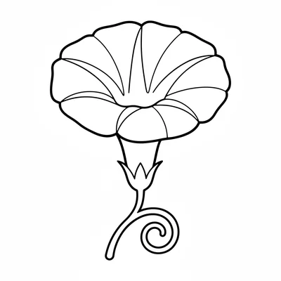 A simple morning glory flower with a wide funnel shape and 5 pointed sections coloring page