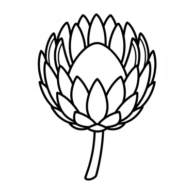 A simple protea flower head with 20 pointed bracts forming a round dome-like coloring page