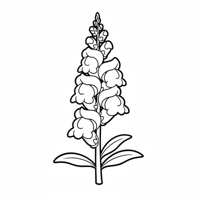 A simple snapdragon with an upright spike of 5 round tube-shaped flowers coloring page