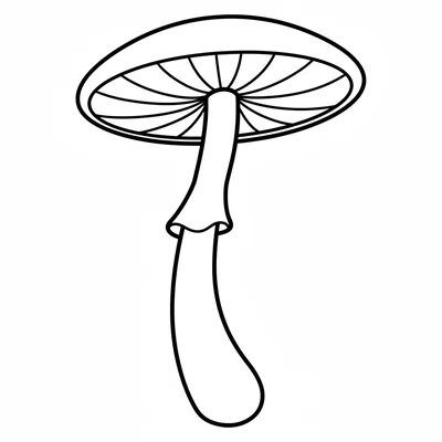 A simple tall mushroom with a long elegant stem and a wide flat cap, a small coloring page