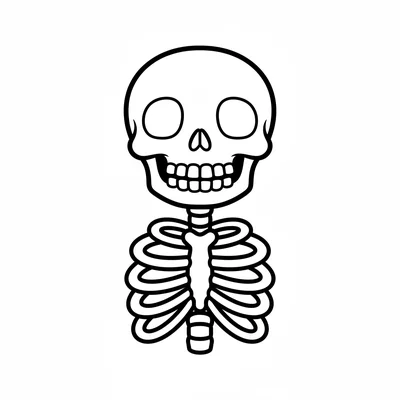 A cartoon skeleton torso and head, a round skull with two round eye sockets coloring page