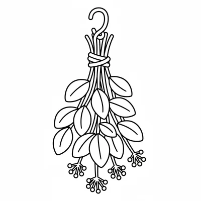 A simple hanging bundle of dried herbs tied with twine, a cluster of stems coloring page